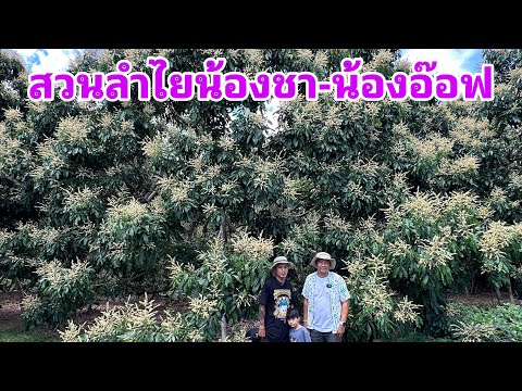 สูตรสารทางใบนายชาตรีปีที่แล้ว