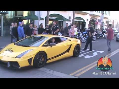 Медведь в салоне Lamborghini удивил жителей Лос-Анджелеса (ВИДЕО)