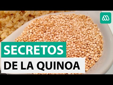 Súper alimentos: Los secretos y los beneficios de la quinoa