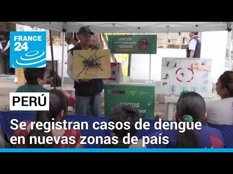 Perú: muertes y casos de dengue se triplican; autoridades declaran estado de emergencia