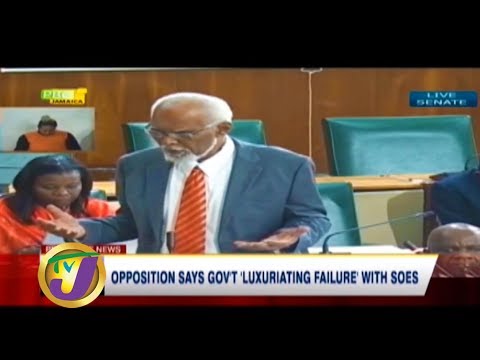 TVJ News: Opposition Says Gov't 'Luxuriating Failure' with SOES - February 2 2020