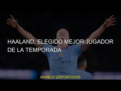 #mejor #elegido #jugador #haaland #temporada #elegidos #Haaland