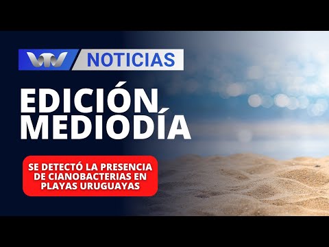 Edición Mediodía 02/02 | Se detectó la presencia de cianobacterias en playas uruguayas