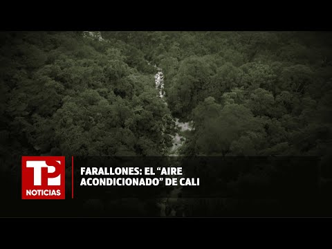 Farallones: El aire acondicionado de Cali |17.02.2024| TP Noticias