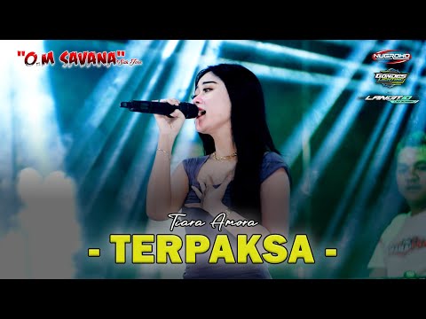 TERPAKSA - TIARA AMORA - OM SAVANA SAKJOSE - THE BOY MAHARDIKA