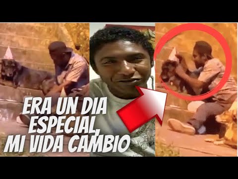 Conmovedoras Declaraciones d quien celebró cumpleaños a sus perros en la calle con gorritos y pastel