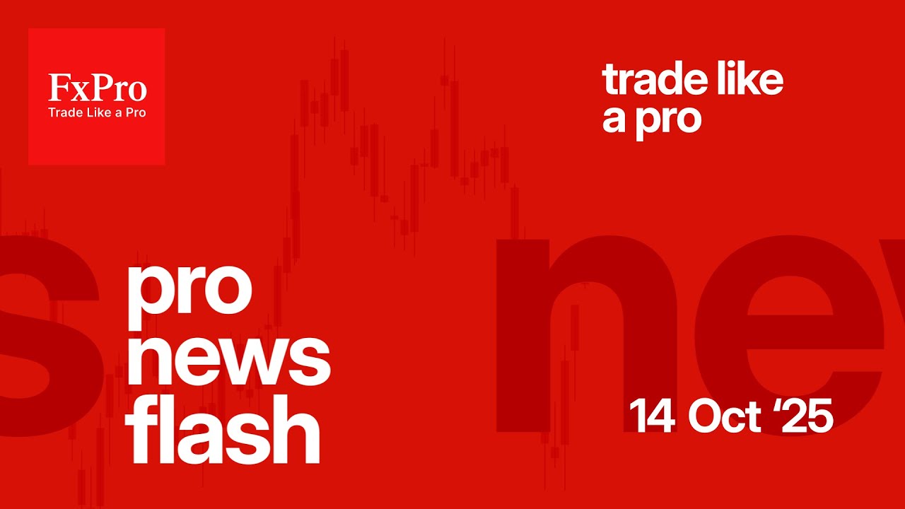 Pro News Flash: The S&P 500 is recovering from the shock.