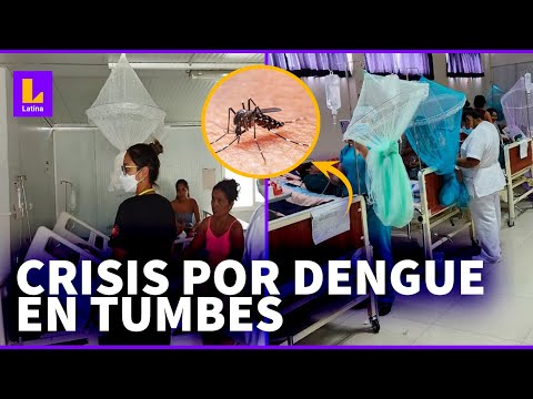 Tumbes: Tres mil nuevos casos de dengue en 15 días