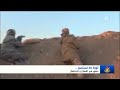 ثورة 26 سبتمبر .. نجمة الاقتداء اليمني تضيئ مسار الأزمات التي تحيق بالبلاد