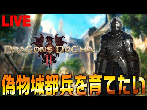 ポーンを偽物ヴェルムント兵士として育てるドラゴンズドグマ2