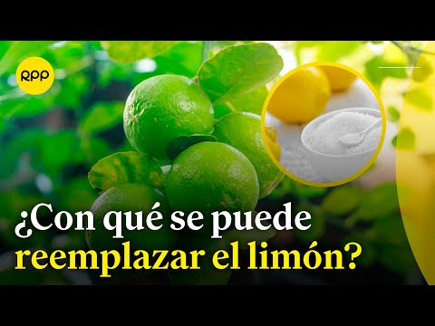 Precio del limón sube: ¿Con qué productos se puede reemplazar?