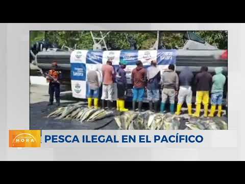 Incautan cerca de 700 kilos de pesca ilegal en Nariño: 12 ecuatorianos fueron capturados