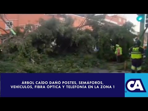 Árbol causa destrozos al caer sobre la Ave. Bolívar y 22 calle de la zona 1 capitalina - Guatemala
