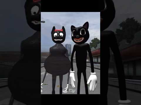 แมวดำท้องโตmidorifunny