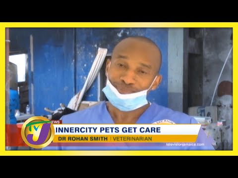 Inner-city Pets Get Care: TVJ Ray of Hope - July 20 2020