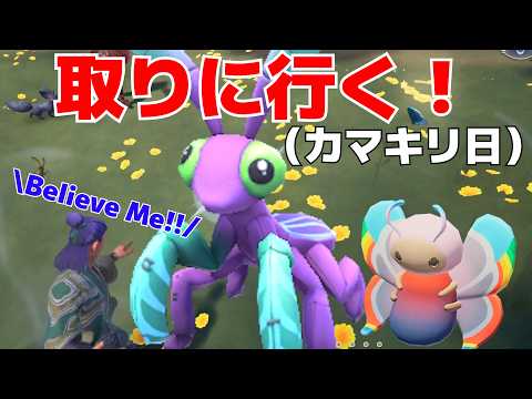 【参加OK】豪運のその先へ!! フェアリーカマキリ・ニジフチチョウのぬいぐるみをゲットする(カマキリ日) | パリ100 | Palia | パリア