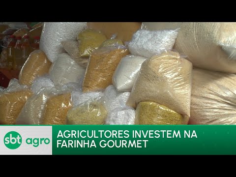 SBT Agro 29/04/24: Agricultores apostam na produção de farinha gourmet