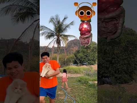 ช่วยแมวจากกระสือSprunkisprun