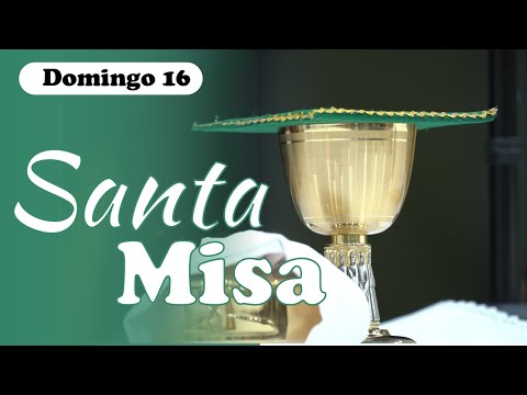 Santa Misa de Hoy domingo 16 de junio 2024 - Parroquia La Transfiguración