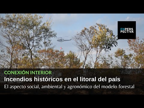 Incendios históricos en el país: El aspecto social, ambiental y agronómico del modelo forestal