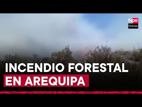 Arequipa: más de 130 hectáreas afectadas por incendio forestal