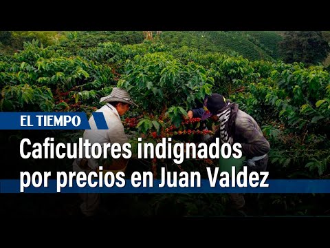 Caficultores, indignados por precios de sus productos en Juan Valdez | El Tiempo