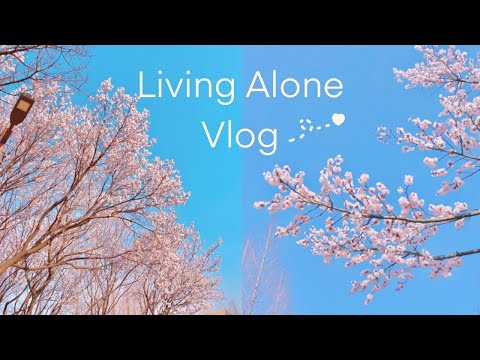 KOREAVLOG|นัดกับเพื่อนคนญี่