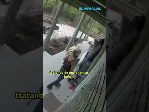 Sospechoso de robo intenta entrar a una casa con un perro pequeño en la mano