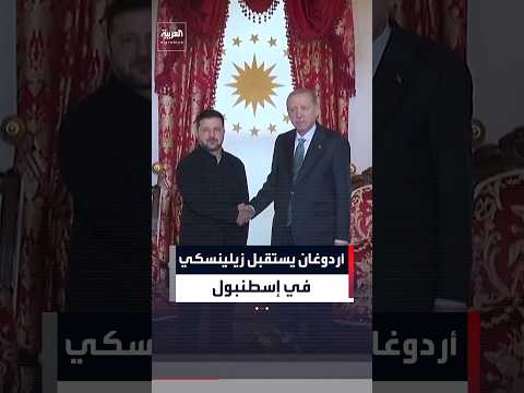 زيلينسكي يصل إلى إسطنبول لإجراء محادثات مع أردوغان
