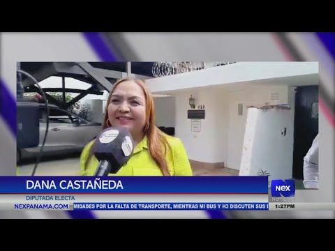 Dana Castan?eda sera? la candidata a la presidencia de la Asamblea Nacional