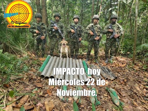 IMPACTO  hoy Miércoles 22 de Noviembre.