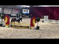 Show jumping pony Knappe , geweldige , superlieve B pony