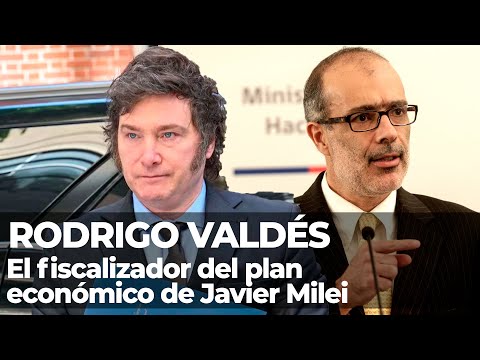 ¿QUIÉN ES RODRIGO VALDÉS? El nuevo referente fiscalista del FMI para Argentina - Informe Pagni