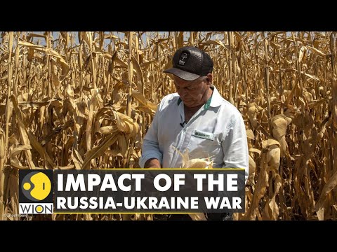 🌎Rising food prices stoke the risk of unrest in Africa | International News | English News | WION