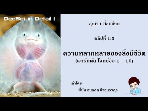 [DID1]สรุปชีวะม4บท1ความห