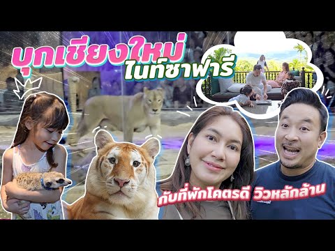 บุกเชียงใหม่ไนท์ซาฟารีเจอที่พ