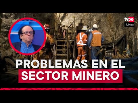 ¿Qué factores influyen en la seguridad del sector minero en el país?
