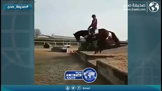 وش عرفه بالخيل