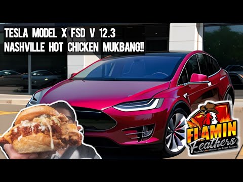 Testing Tesla Model X FSD V. 12.3 & Flamin Feathers Mukbang!! #tesla
