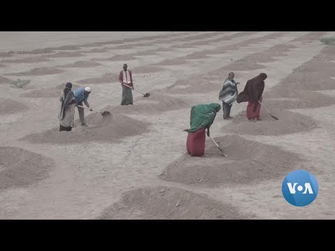 🔵Persistent Drought in Ethiopia an Example of Climate Change, Experts Say