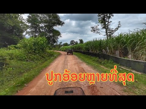 ໄຊບູລີດິນແດນແຫ່ງການປູກອ້ອຍ●●