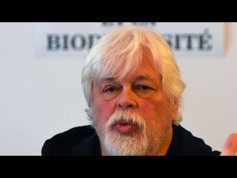 Arrestation de Paul Watson : la France opposée à l'extradition du militant vers le Japon