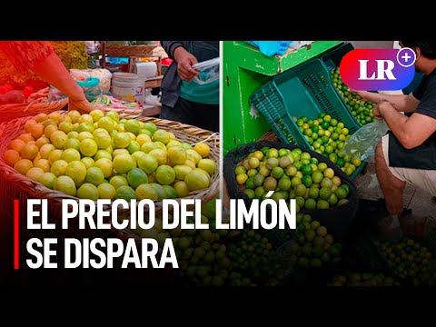 PRECIO del LIMÓN HOY: CONOCE CUÁNTO CUESTA el kilo del cítrico en cada región del Perú
