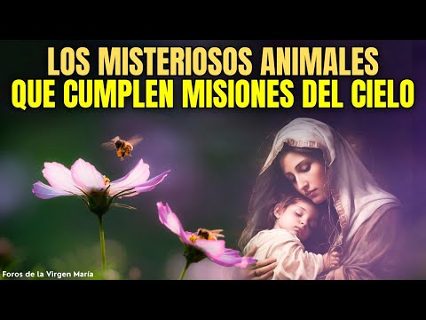 ¡Misteriosos Animales Cumpliendo Misiones del Cielo! Dios habla a través de toda la Creación