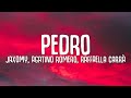 PEDRO - Jaxomy, Agatino Romero, Raffaella Carr (TikTok Song)