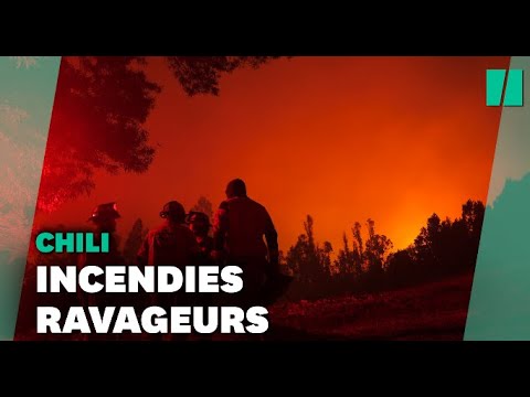 Au Chili, plus de 200 incendies continuent de faire rage