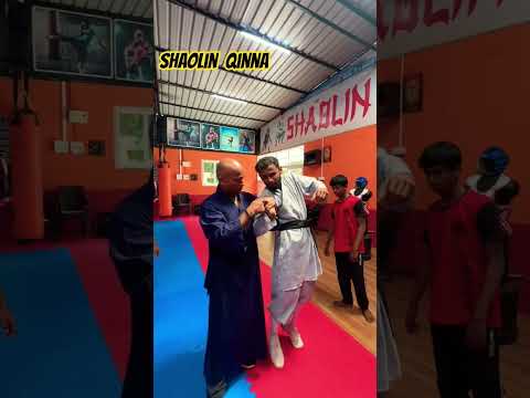 Shaolin Qinna #martialarts #kungfu #qinna #bjj #wrestling #mma #shifu #shaolinindia #aikido #taichi