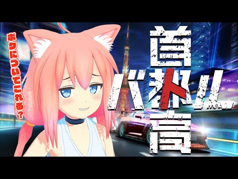 【首都高バトル】話題のレースゲーム！ボクの速さについてこれる・・・？【猫宮ひなた】