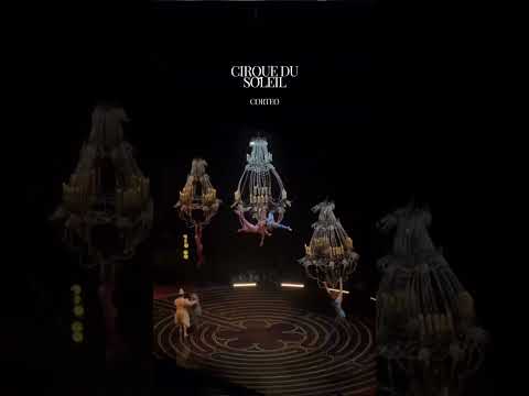 circus#dangerous #ekmotahathighumechala #pats 8