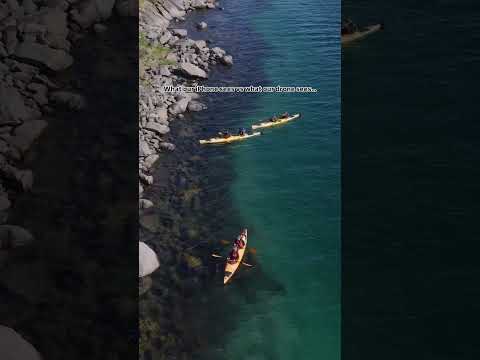 What our iPhone sees vs what our drone sees…